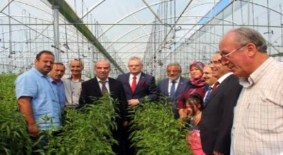 Çankırı`dan Paris`e Biber İhracatı Yapılıyor