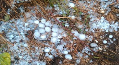 Ceviz Büyüklüğündeki Dolu Ürünlere Büyük Zarar Verdi