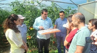 Çiftçiye Tarlada Eğitim