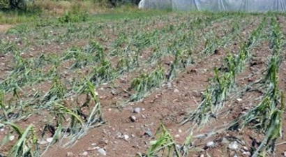 Denizli`de şiddetli yağış