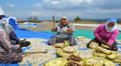 Döve Döve Çerez Yapıyorlar