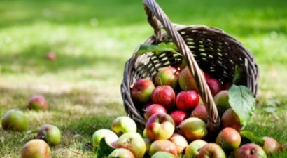 Elma Kurtlarıyla Biyoteknik Mücadele