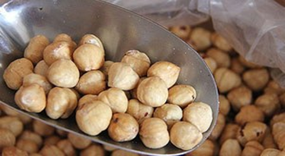 Fındık Alımları Başladı