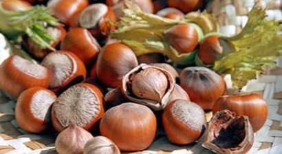 Türk Fındığında Rekoltenin Düşmesi Alman Çikolata Üreticilerini Zorluyor