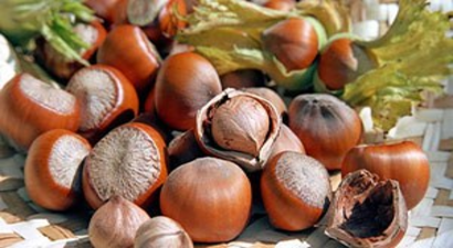 Fındıktan 11 ayda 2.7 milyar dolar geldi