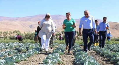 Gürpınar Belediyesi Açık Sera Kurdu