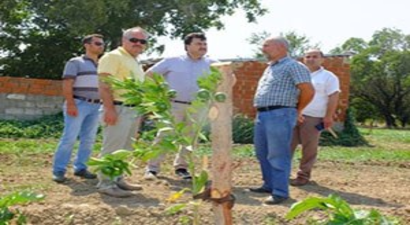 Havran Tarımda Marka Kent Yolunda