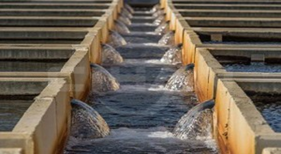 İZSU`dan üreticiye çağrı: Suyumuza sahip çıkın