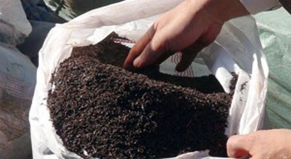 Kaçak Çay Türk Çayının Geleceğini Tehdit Ediyor`