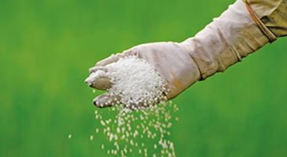 Kimyasal Gübreleme Yapılmayan Sebzelerde Ağır Metal Oranı Daha Düşük