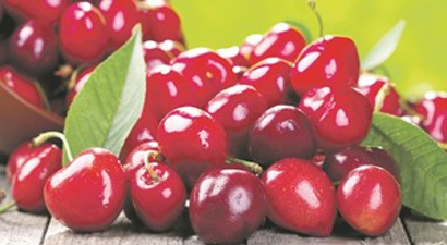 Kirazda rekor ihracat