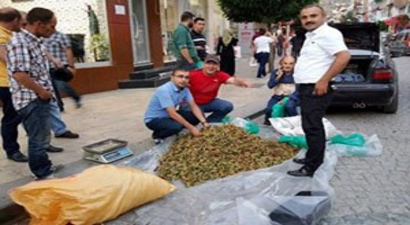 Kürtün Fındığı Pazarda