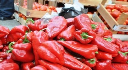 Ödemiş`te Salçalık Biber ve Domatesler Satışa Çıktı