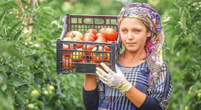 Organik Büyüme 79 Milyon Dolar