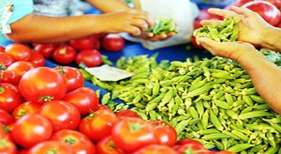 Lice`de Organik Ürün Pazarı kurulacak