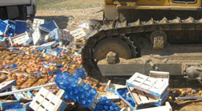 Rusya Halkı Ambargolu Ürünlerin İmhasına Karşı