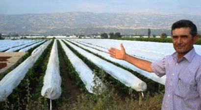 Sarıgöl Ovası Beyaza Büründü