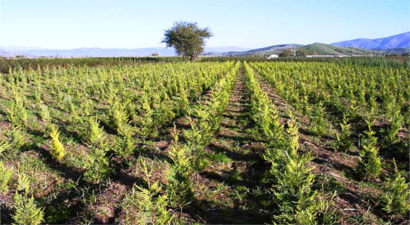 Başvuru İçin Son Gün 31 Ağustos