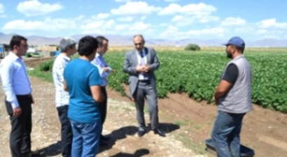 Sertifikalı Tohumla Kartol Bir Başka Olacak