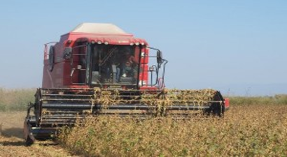 Söke`de Tarla Günü Etkinliği