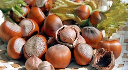 12 Liradan Sezonu Açtı Cumhuriyet Tarihinin Rekorunu Kırdı