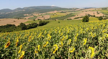 TEMA: Tarım havzaları linyit madeni olacak