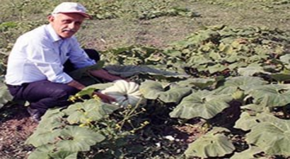 Tarımda Ürün Çeşitliliği