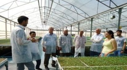 Tika Desteğiyle Türkmenistanlı Heyete Seracılık Eğitimi