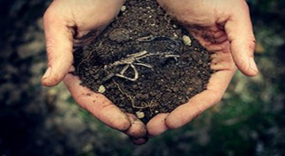 Toprak Analizi Desteği Başvuruları Başladı