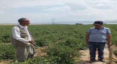 Tso`dan Endüstriyel Tarıma Destek