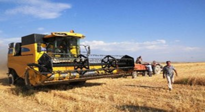 Van`da Hububat Hasadı Başladı