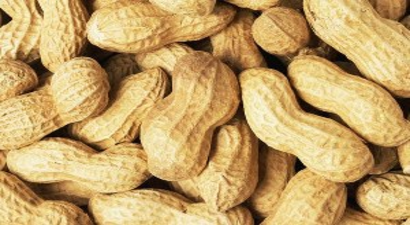 Yer fıstığı fiyatları el yakıyor