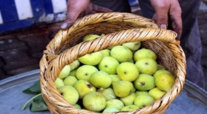 Yerli İncirin Kilosu 5 TL`den Satılıyor