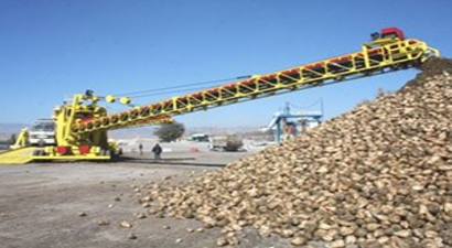 Amasya Şeker Fabrikasında Pancar Alım Kampanyası Başladı