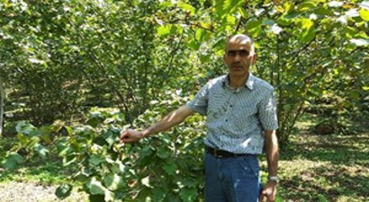 Fındık Fiyatı Yeniden Hareketlendi