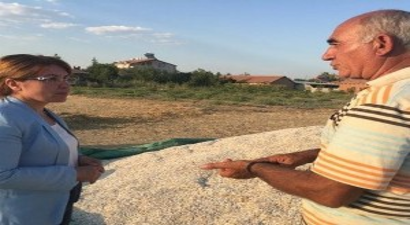 Ayçekirdeğinin Kilosu Tarlada 4, Markette 15 Lira