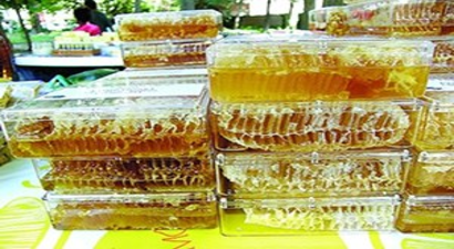 Kırıkkale Koru Köyü 1. Bal Şenliği