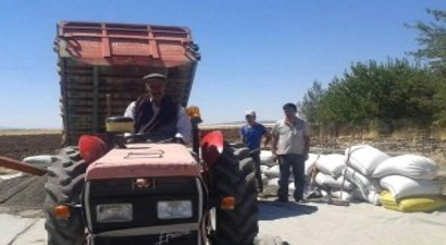 Ergani`de Ayçiçeği Alımları Başladı