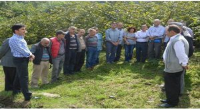 Fındığı Sertifikalı Üreticiler Budayacak