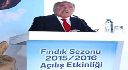 Fındık İhracatçısının Rekolte Tahmini 700 Bin Ton