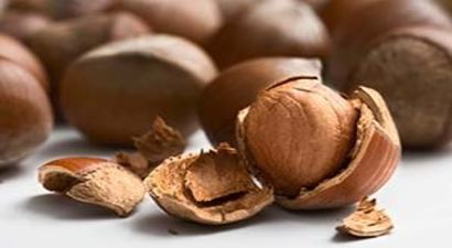 Fındık Fiyatında Artış Beklentisi