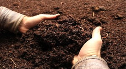 Fiyatı Fırladı, Sahte Gübre Hortladı