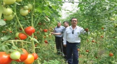 İnegöl`ün Geleceği Meyvecilik