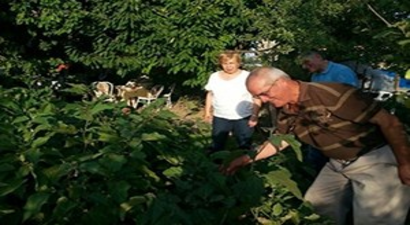 Kent Tarımı Projesi Meyvelerini Veriyor