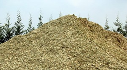 Kırıkkale`de Mısır Silajı Çalışmaları