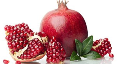 Şanlıurfa`nın Organik Narı İçin Entegre Tesis