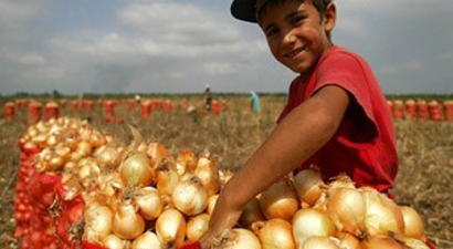 Soğan Üreticisi `Depo Desteği` İstiyor