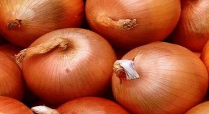 Soğan ve Pancardaki Hastalık, Verimi Düşürebilir