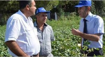 Söke`de Pamukta Damla Sulama ve İyi Tarım Eğitimi Verildi