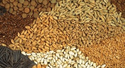 Tahıl, Bağ Ve Çeşitli Ürün Listelerine İtiraz Süresi Cumaya Kadar Uzatıldı